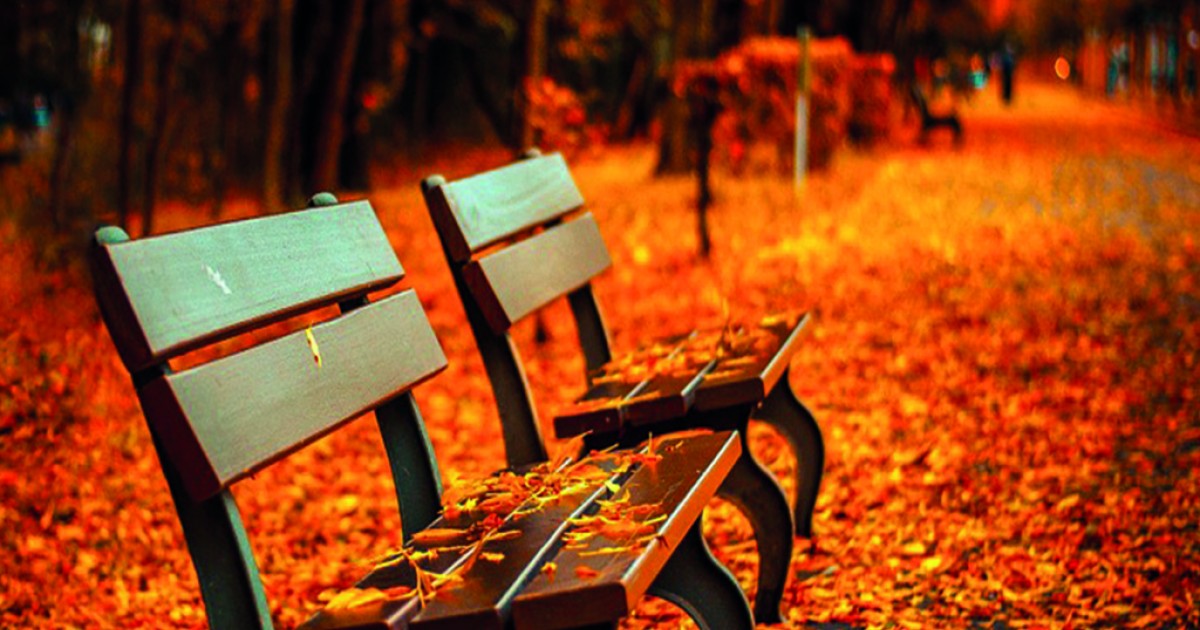 Hogyan maradjunk egészségesek ősszel is