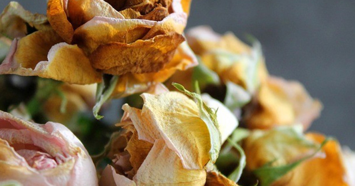 A Halál és az elmúlás