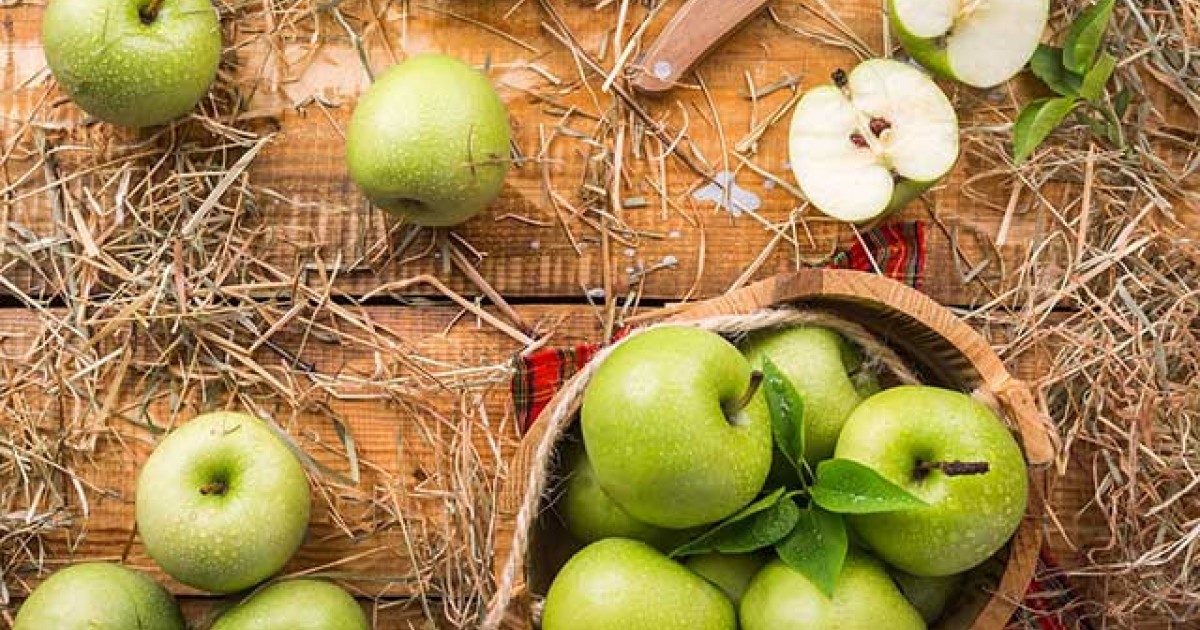 Majonézes zeller saláta, dióval