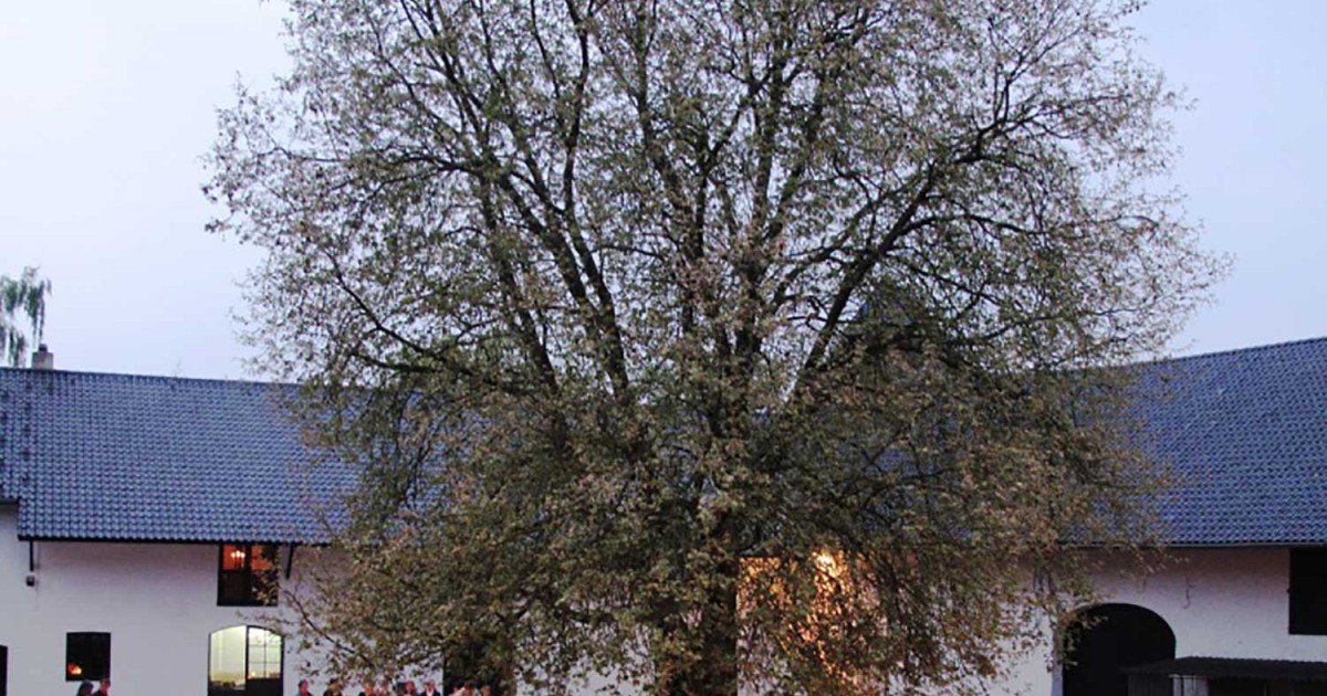 Agnihotra, egy ősrégi tűzceremónia