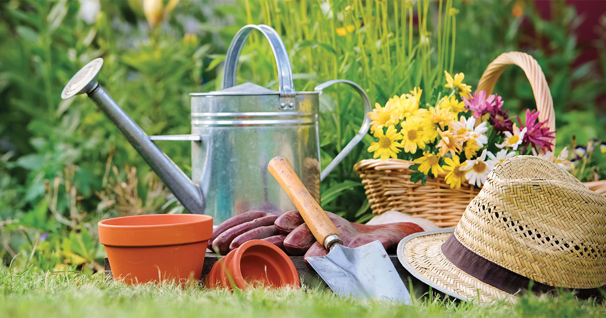 Itt a tavasz! Éled a kert! Itt a tavasz! Éled a kert!