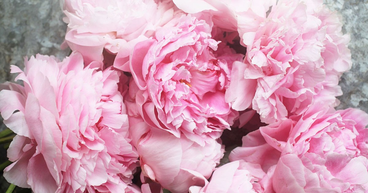 Hajdan Vali: Pünkösd fényében