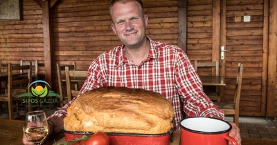 Sipos Gazda gyógyító finomságai