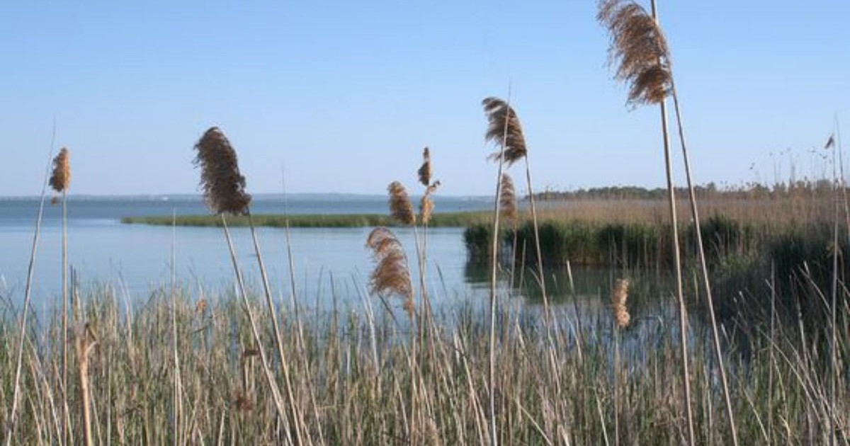 Női sorstörténetek a Balaton vidékéről- 5. rész Női sorstörténetek a Balaton vidékéről- 5. rész