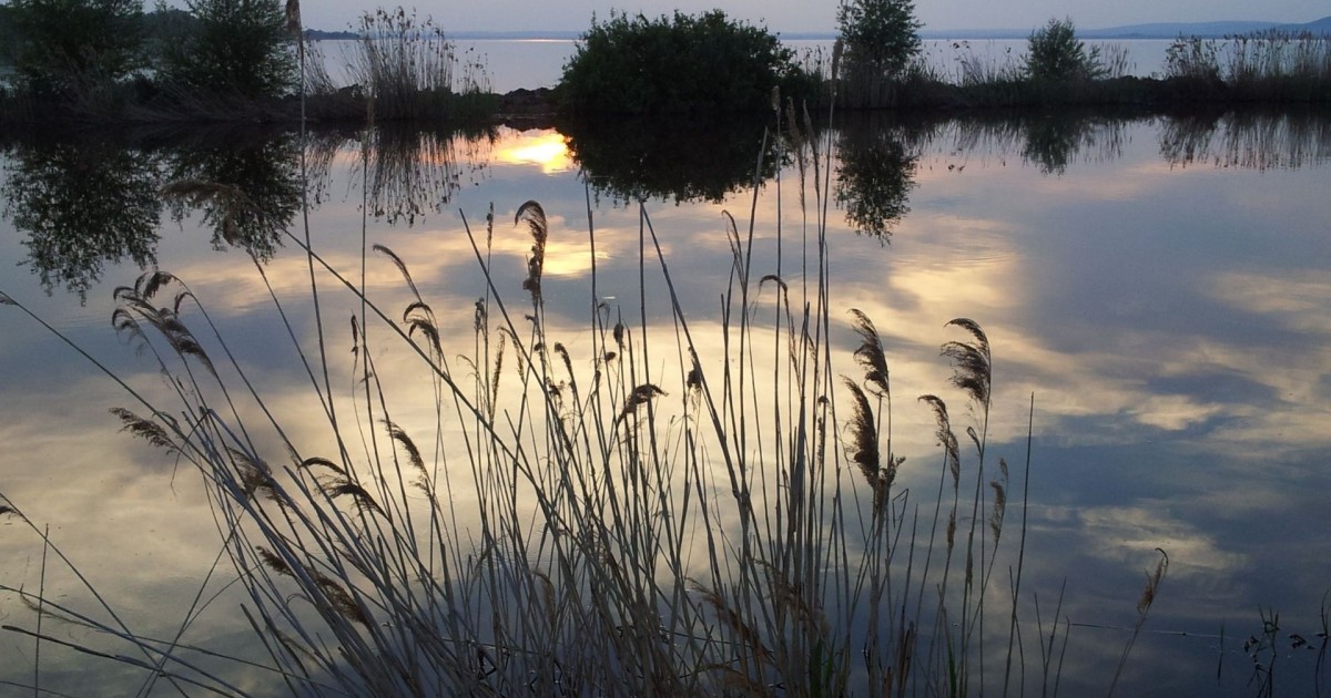 A Balaton híres orvosai a 19-20. században- 4. rész