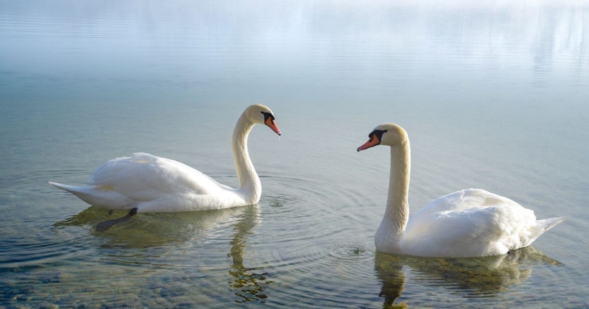 Szerelem a Balatonnál- 6. rész Szerelem a Balatonnál- 6. rész