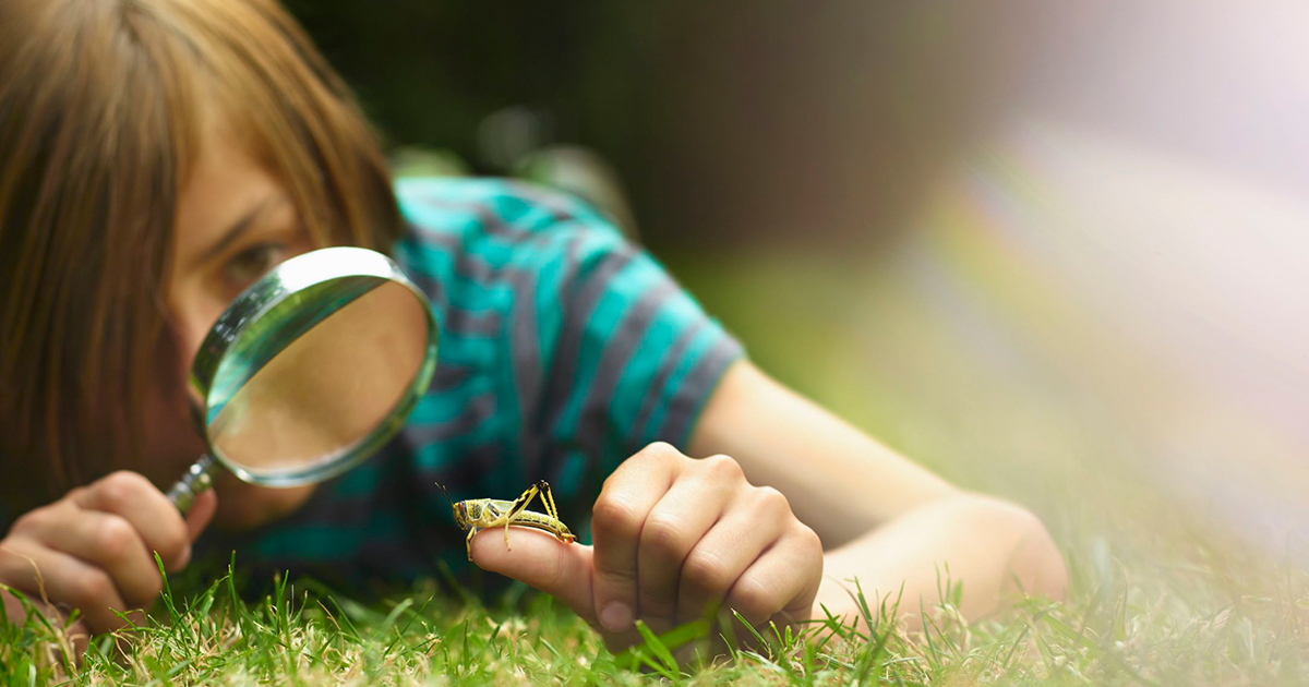 A jó, a rossz és a csúf