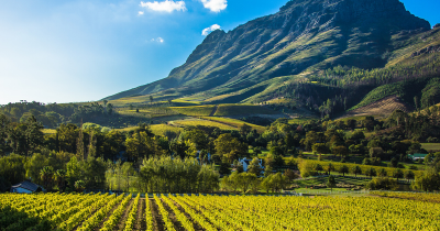 Magyar borászok nyomában Dél-Afrikában