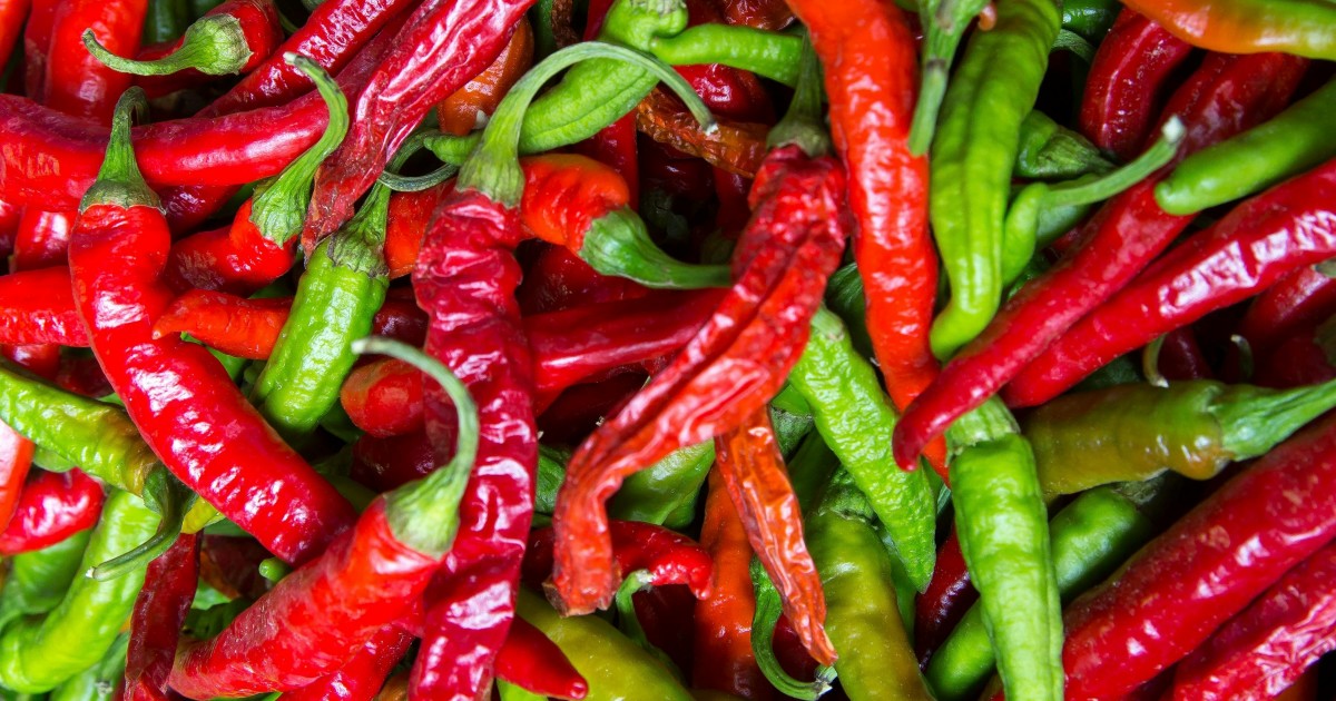 Egy nap a paprikák között – nyári pillanatok a farmról