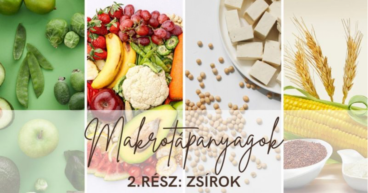 Makrotápanyagok: zsírok Makrotápanyagok: zsírok
