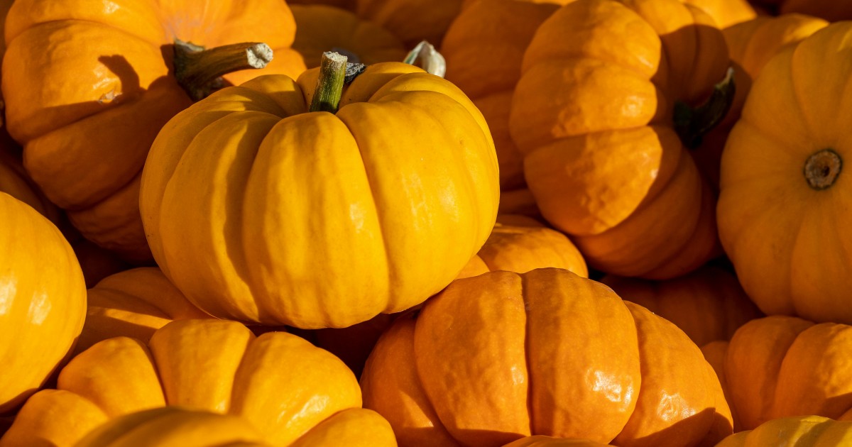 Sütőtök 2.0 Sütőtök 2.0