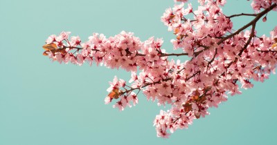Május Budapesten – a női kisugárzás és elegancia hónapja