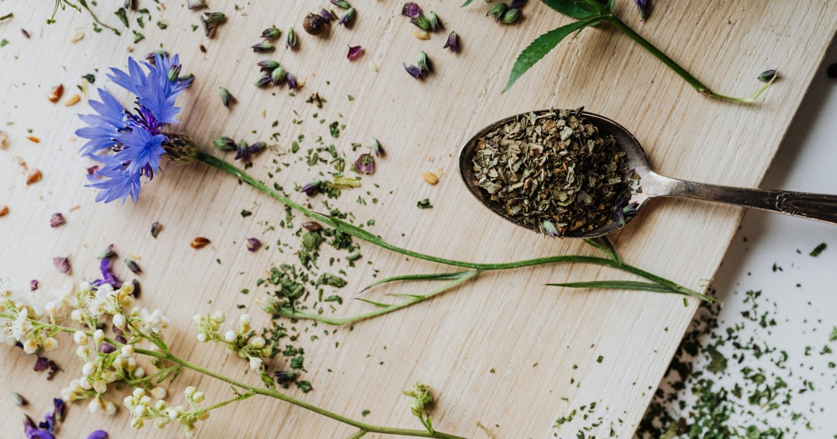 MÁSFÉL ÉVTIZEDE A TÖRŐDÉS NAGYKÖVETE – A GYÓGYNÖVÉNYEK EREJÉVEL