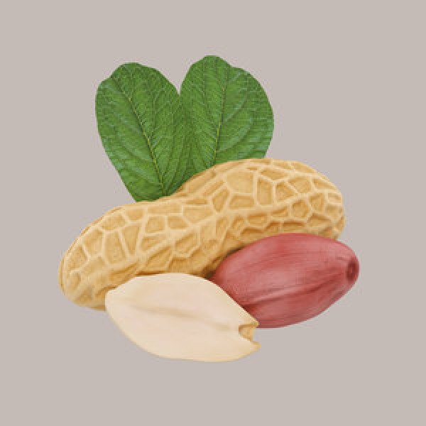 Snackdiet Kézműves csokoládé 100 g