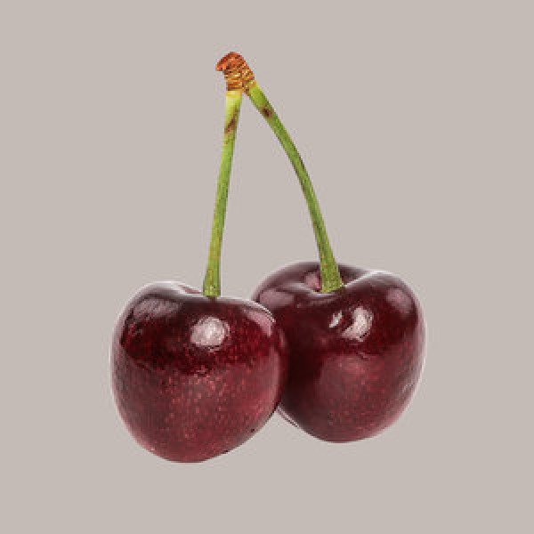 Snackdiet Kézműves csokoládé 100 g