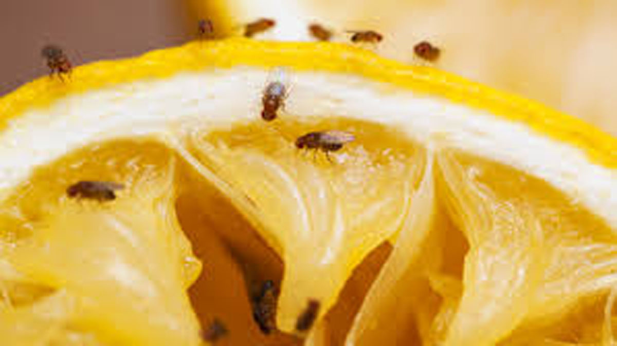 minden-tiszta-8resz1