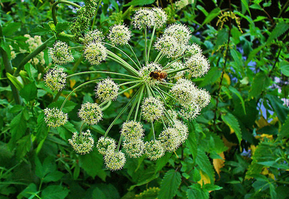 attol-hogy-nem-ismered-meg-jo-valasztas-lehet-1resz3
