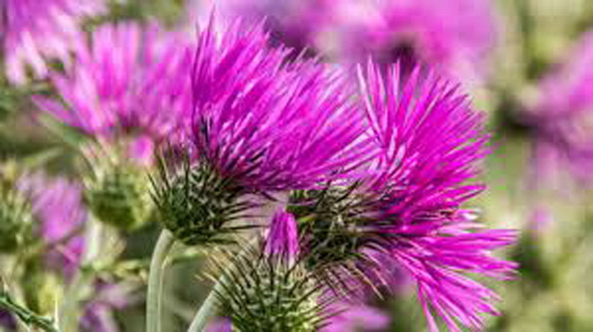 attol-hogy-nem-ismered-meg-jovalszatas-lehet-1resz4